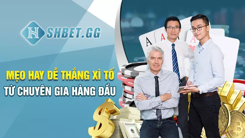 Hướng dẫn chơi xì tố chi tiết cho những người mới bắt đầu 6 Mẹo hay dễ thắng xì tố từ chuyên gia hàng đầu