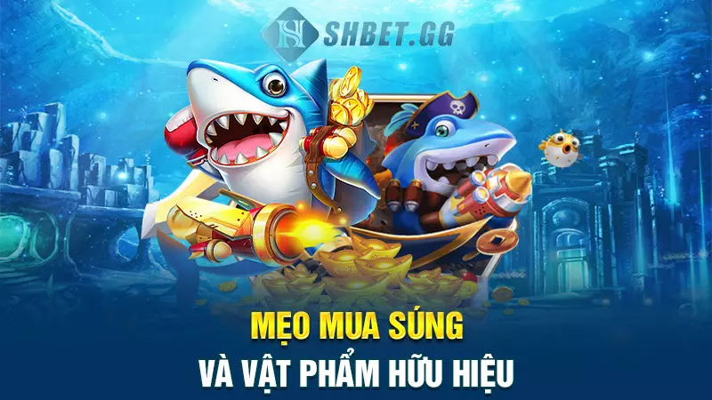 Bắn cá Rùa Xanh - Game giải trí đỉnh cao dành cho Bet thủ 8 Mẹo mua súng và vật phẩm hữu hiệu