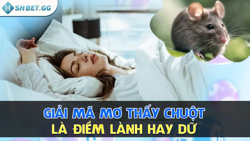 Nằm mơ thấy chuột thì đánh con gì để thu hút tài lộc? 3 Giải mã mơ thấy chuột là điềm lành hay dữ