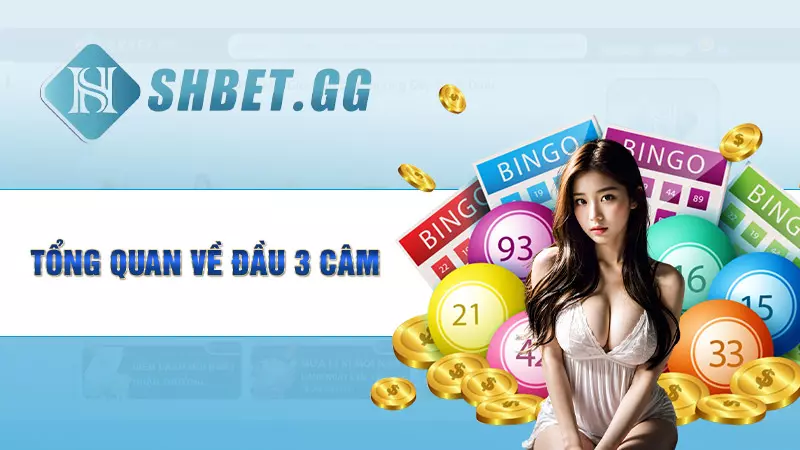 Giải mã chi tiết: Đầu 3 câm đánh lô gì chuẩn xác nhất 3 Tổng quan về đầu 3 câm