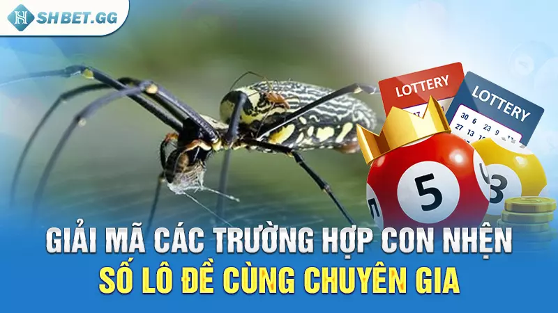 Con nhện số lô đề và điềm báo ẩn chứa trong giấc mơ 4 Giải mã các trường hợp con nhện số lô đề cùng chuyên gia